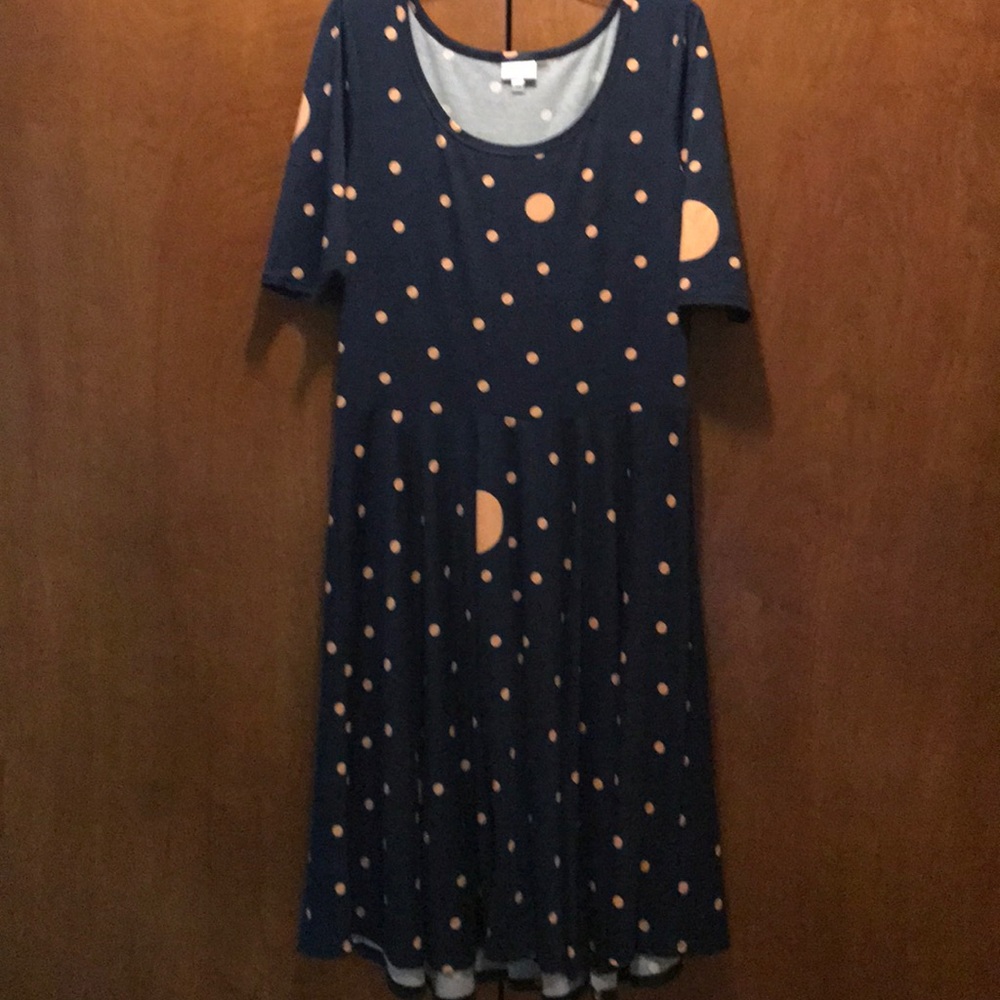 LuLaRoe Nicole Dress NWOT